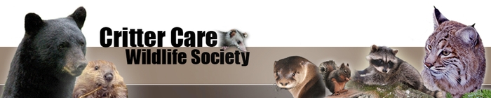 Critter-Care-Wildlife-Society-logo